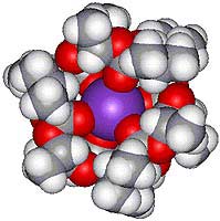 Valinomycin-Potassium