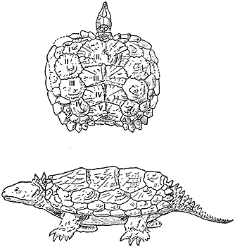 proganochelys coloring pages