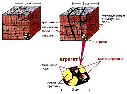 Доклад: Движение воды в почве