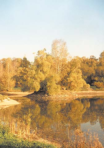 ���� �.�. ���������