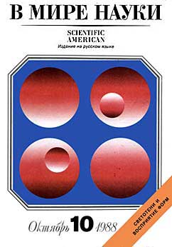 �� ���� �����, �10 (1988)