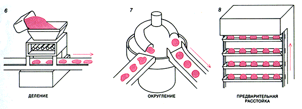 Выпечка изделий и процессы, происходящие при выпечке