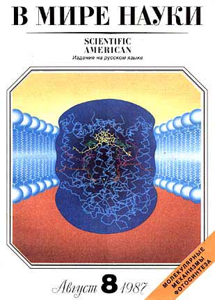 «В мире науки» - «Scientific American» (№8, 1987)
