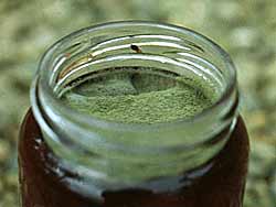 ������ ������� �� �������