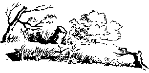 ������� �������