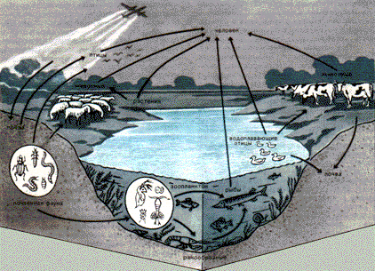 ������� 4