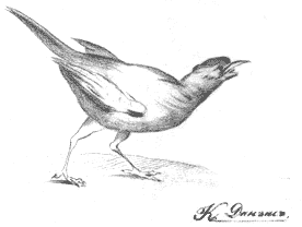 ������� ����������� �������