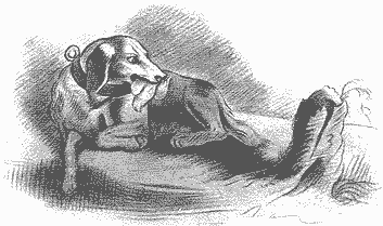 ���. �.�. �������