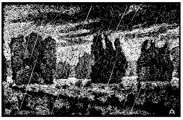 �.�. ����������-��������, ������� ���������  (18)