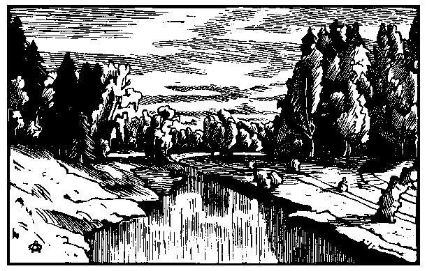 �.�. ����������-��������, ������� ��������� (19)